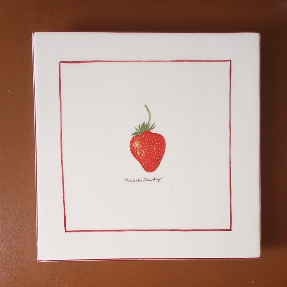 Pocahontas Strawberry Berry Fields Square Ceramic Wall Decor by Over and Back